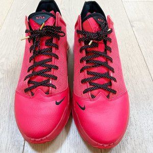 Nike Lebron 19 Low Basketball Shoes